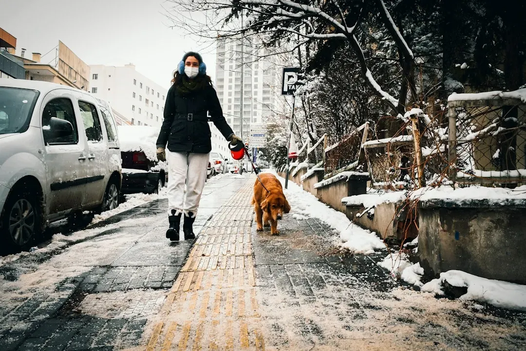Instilling Routine and Purpose (Image Credits: Unsplash)