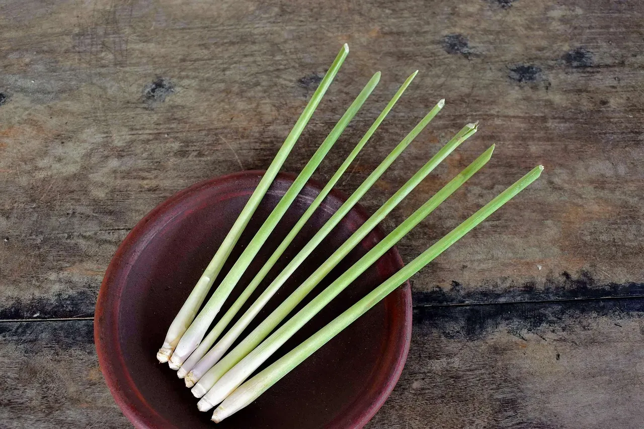 8. Lemongrass: The Citrusy Disruptor (Image Credits: Pixabay)