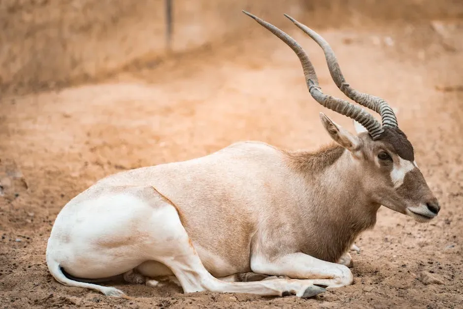 9. The Saiga Antelope's Remarkable Nose (Image Credits: Pexels)