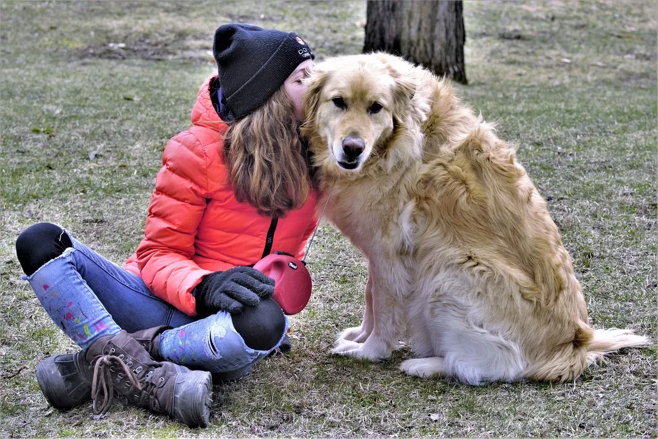 Golden Retrievers: The Empaths of the Dog World (Image Credits: Pixabay)