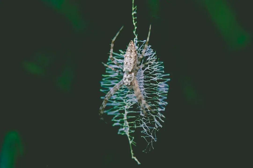 Bdelloid Rotifers: The Ancient Asexuals That Defy Convention (Image Credits: Unsplash)