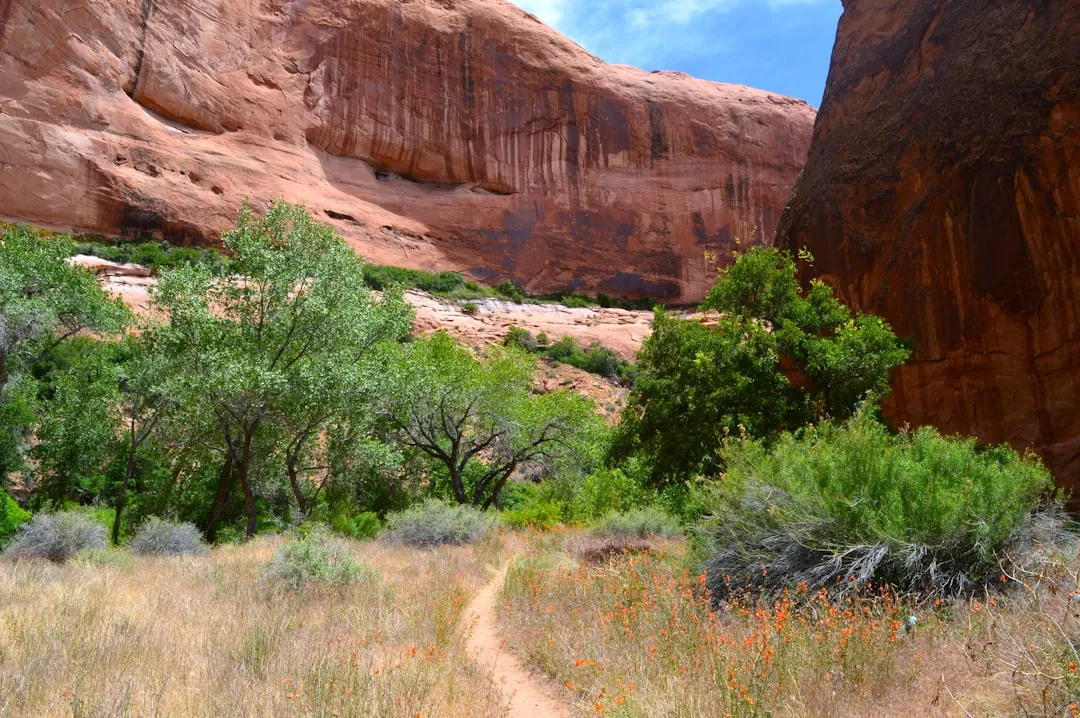 Day Hiking Simply Isn't Allowed (Image Credits: Unsplash)