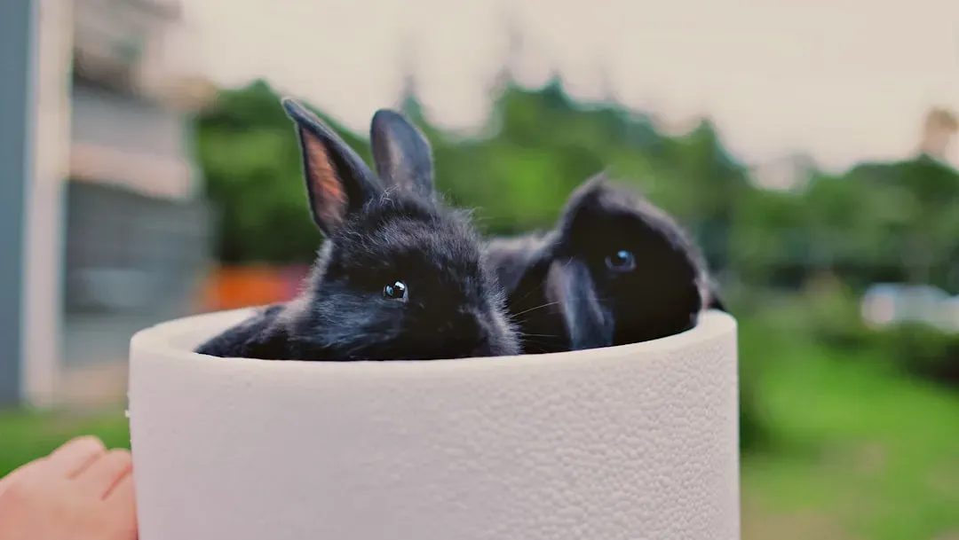 Litter Training Is Absolutely Critical for Indoor Freedom (Image Credits: Unsplash)