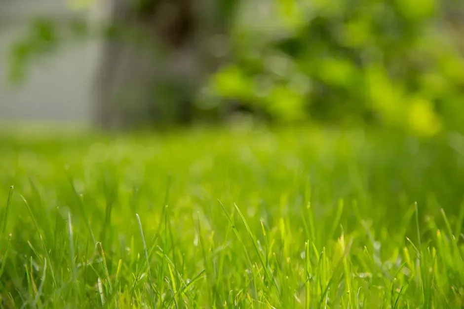 #10: Try Blood Meal as a Dual-Purpose Deterrent (Image Credits: Pexels)
