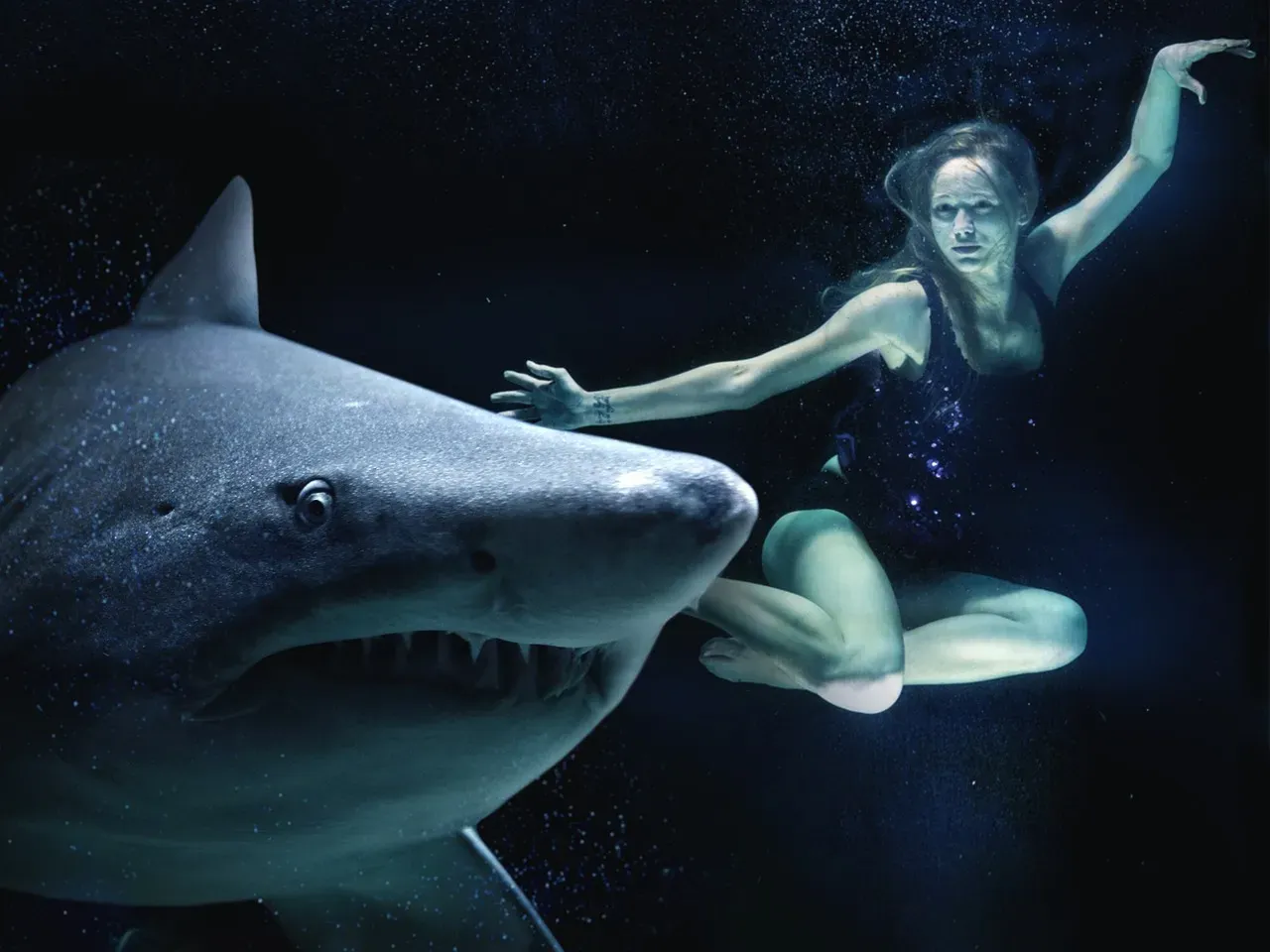 Great Whites May Never Actually Sleep (Image Credits: Pixabay)