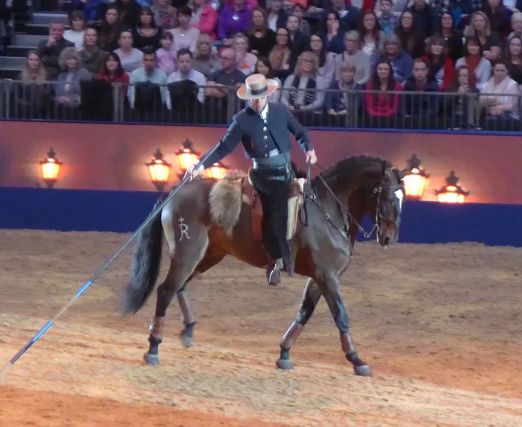 #3 – Lusitano (Lil Shepherd, Flickr, CC BY 2.0)