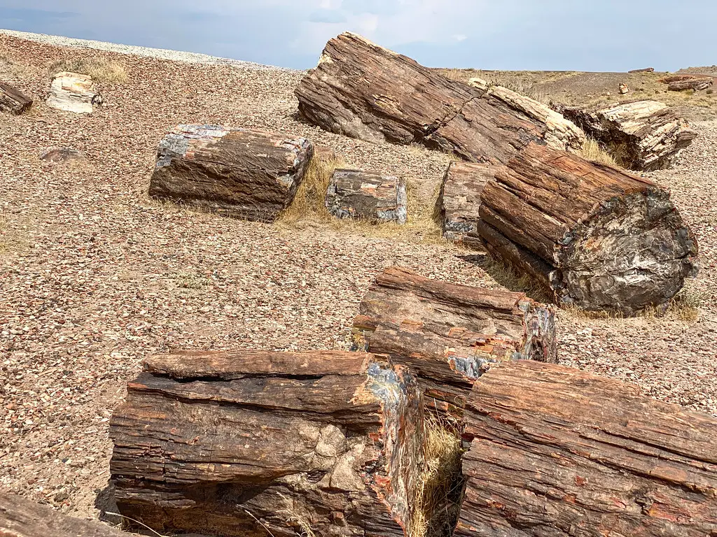 Dynamic and Evolving Landscape (kevin dooley, Flickr, CC BY 2.0)