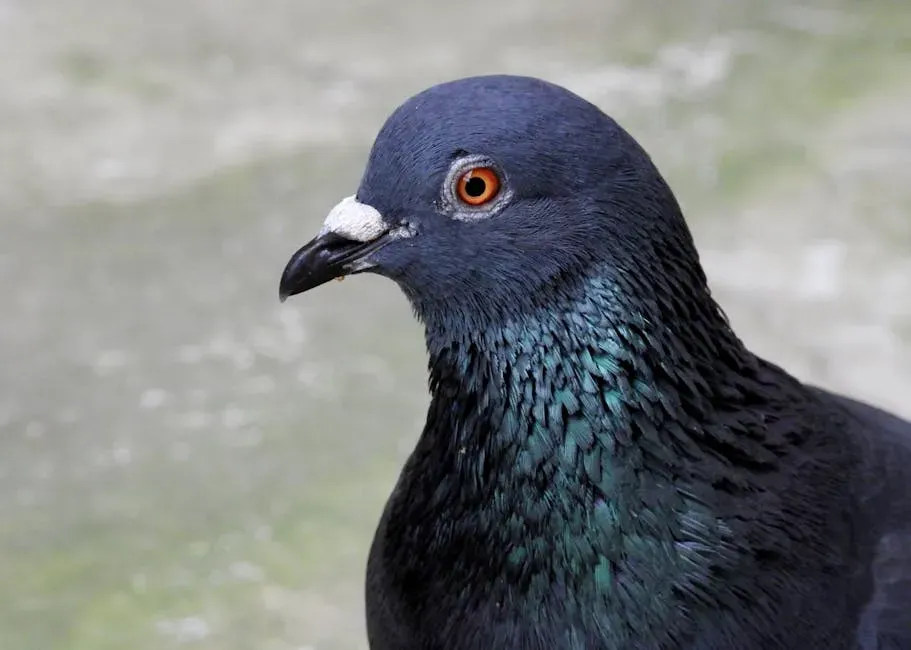 The Brain in a Bird: What Science Actually Says (Image Credits: Pexels)