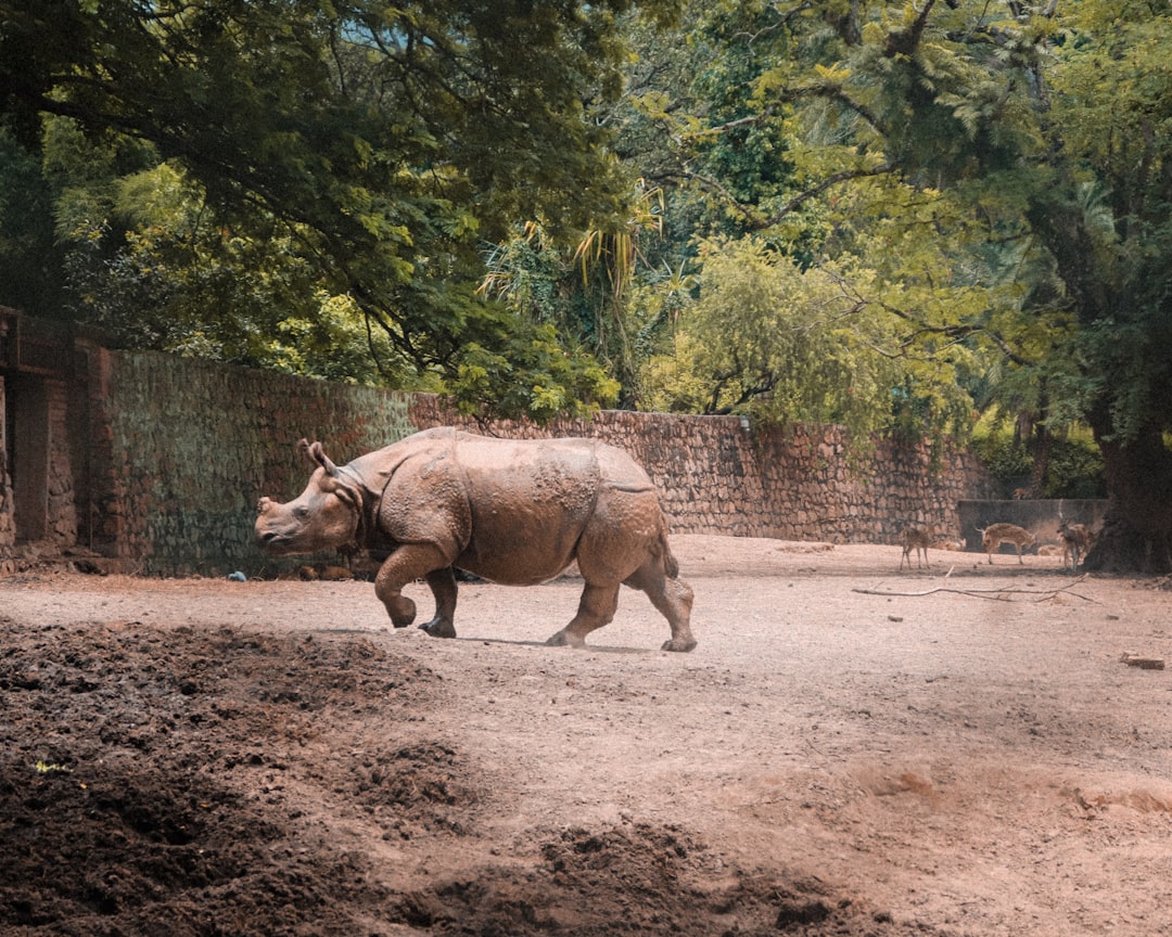 When Staying Still Fails: Emergency Escape Tactics (Image Credits: Unsplash)