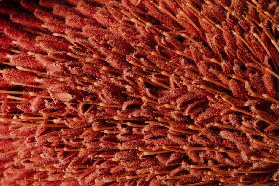 Giant Tubeworms: Architects of the Deep (Image Credits: Pexels)