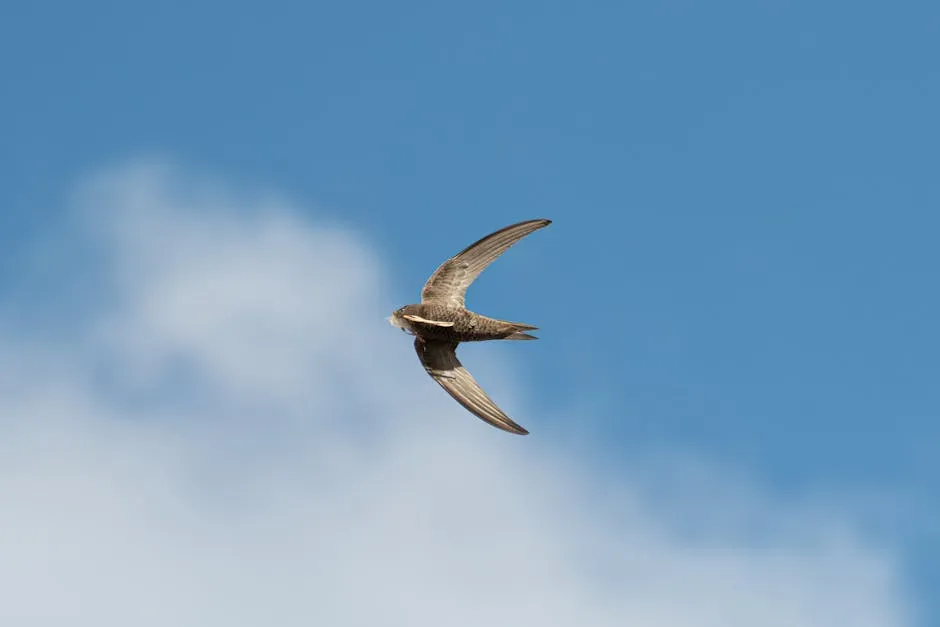 #1: The 10-Month Sky Record That Changed What We Know About Animal Physiology (Image Credits: Pexels)