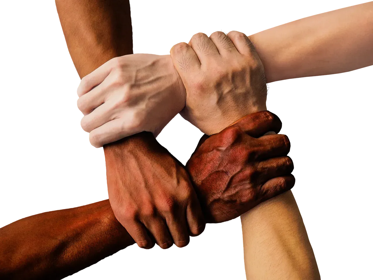 5. Lean on Others - Especially Those Who Truly Get It (Image Credits: Pixabay)