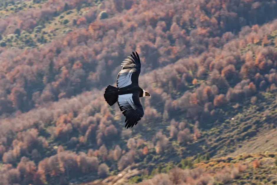 5. California Condor (Image Credits: Pexels)