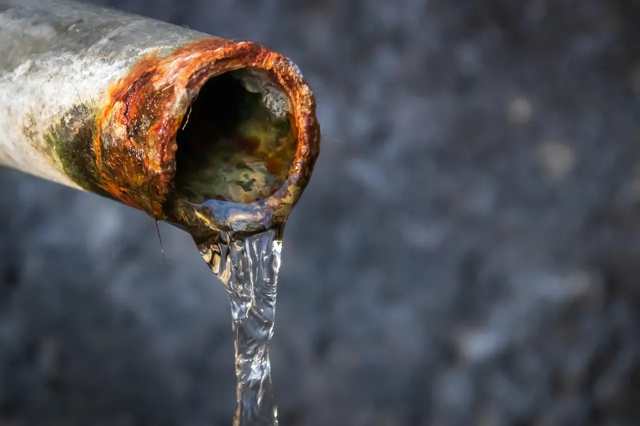 Mistake #3: Ignoring Moisture and Leaky Pipes (Image Credits: Pixabay)