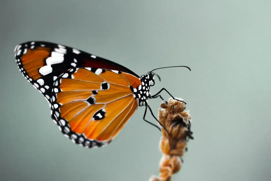 Conclusion: Nature's Navigation Puts Our Technology to Shame (Image Credits: Pexels)