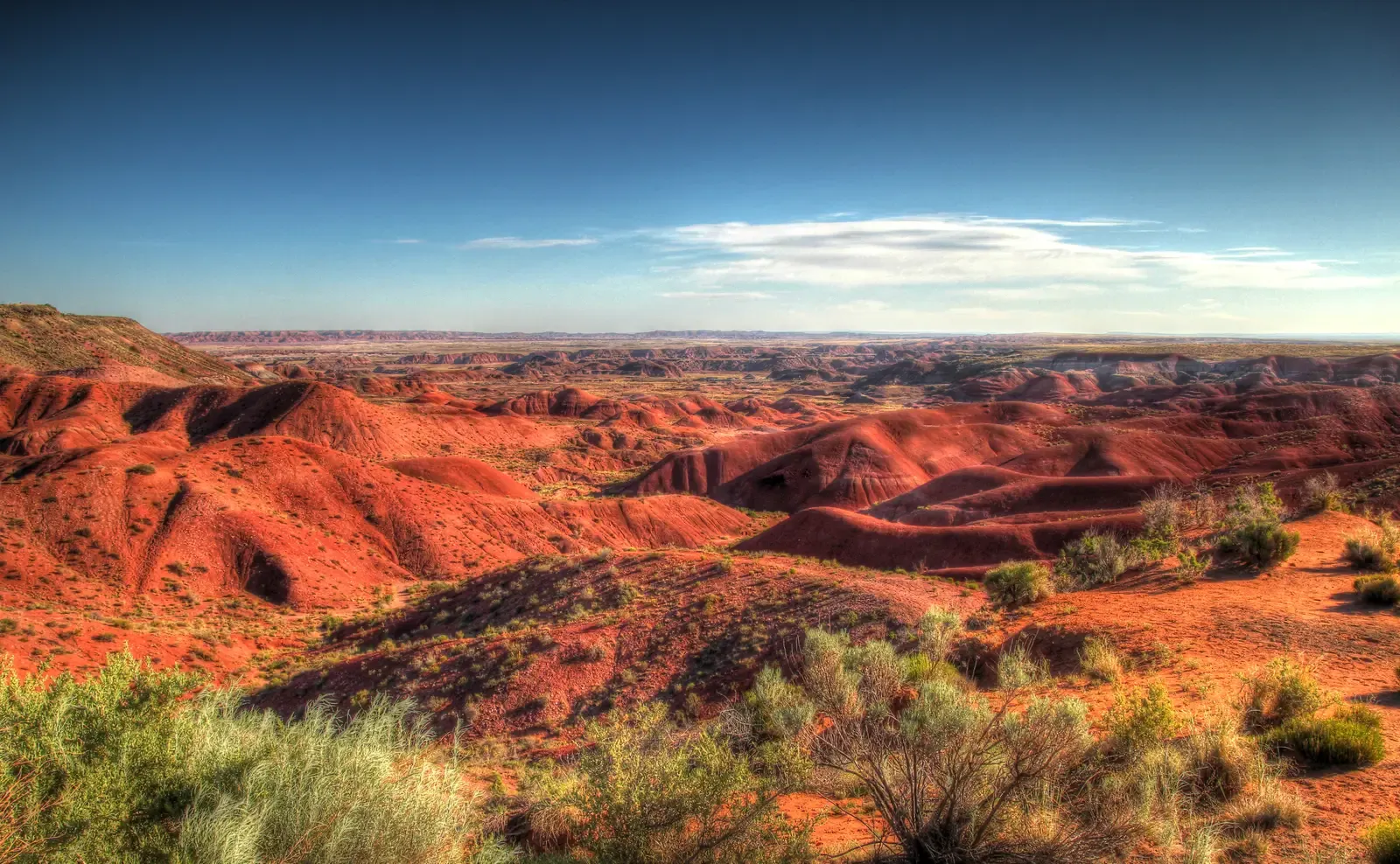 Coal Mine Canyon (Image Credits: Wikimedia)
