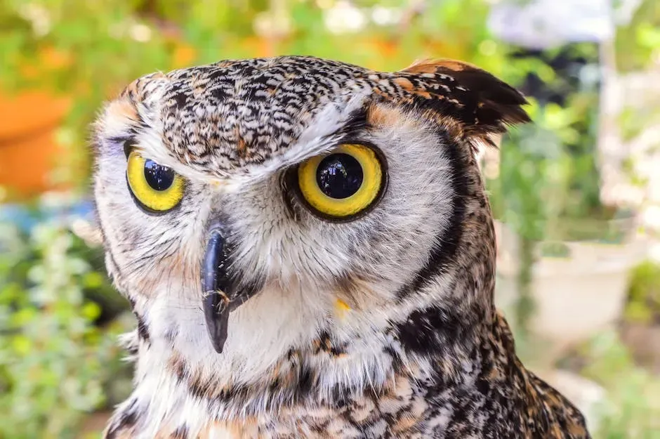13. The Great Horned Owl: Silent Warden of the Night Sky (Image Credits: Pexels)