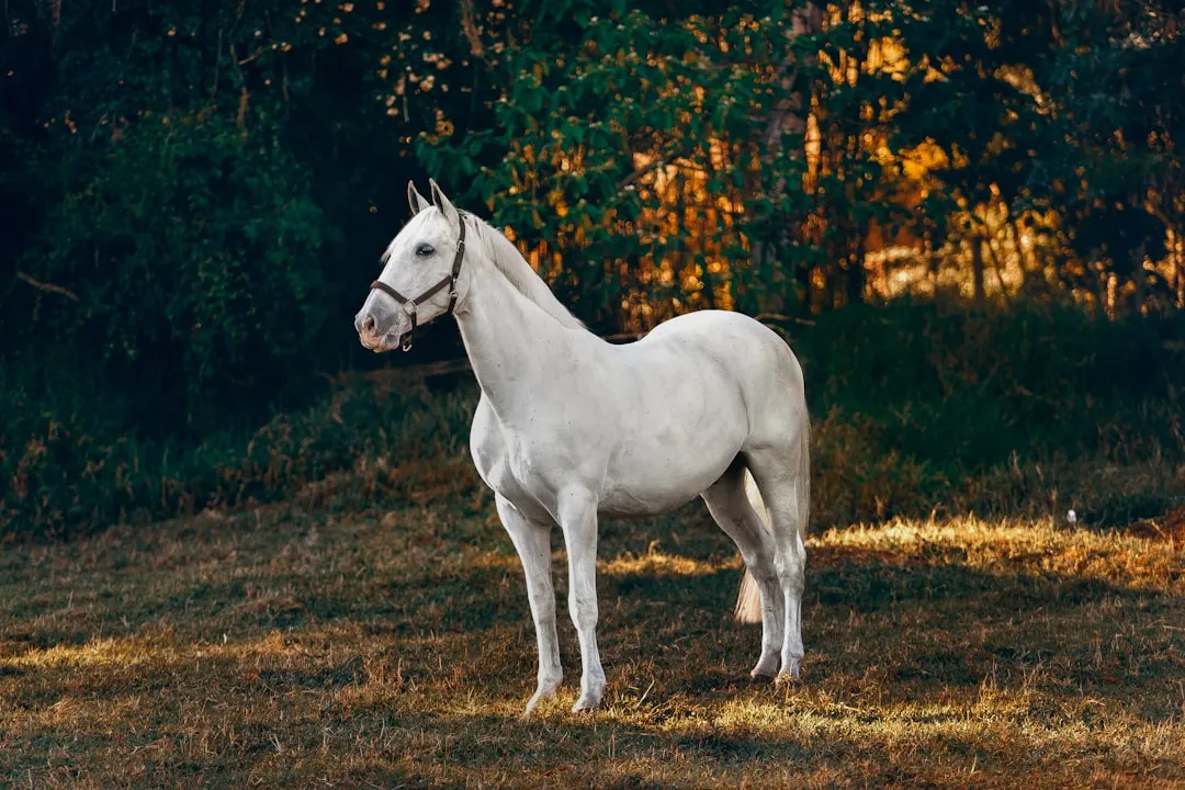 #12 - Choosing to Stand Still After You Dismount (Image Credits: Unsplash)
