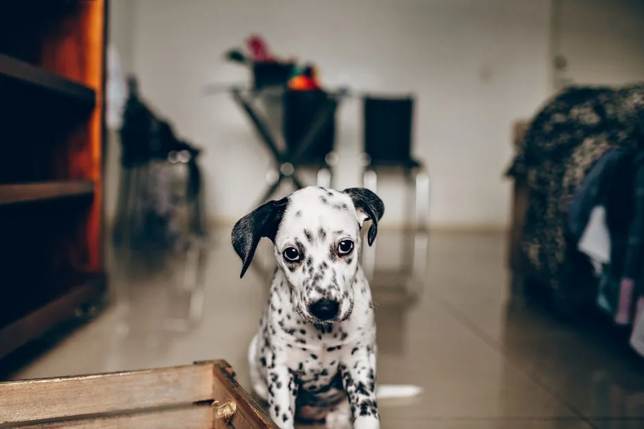 #10 - The Guilt and Worry Can Be Overwhelming (Image Credits: Pexels)