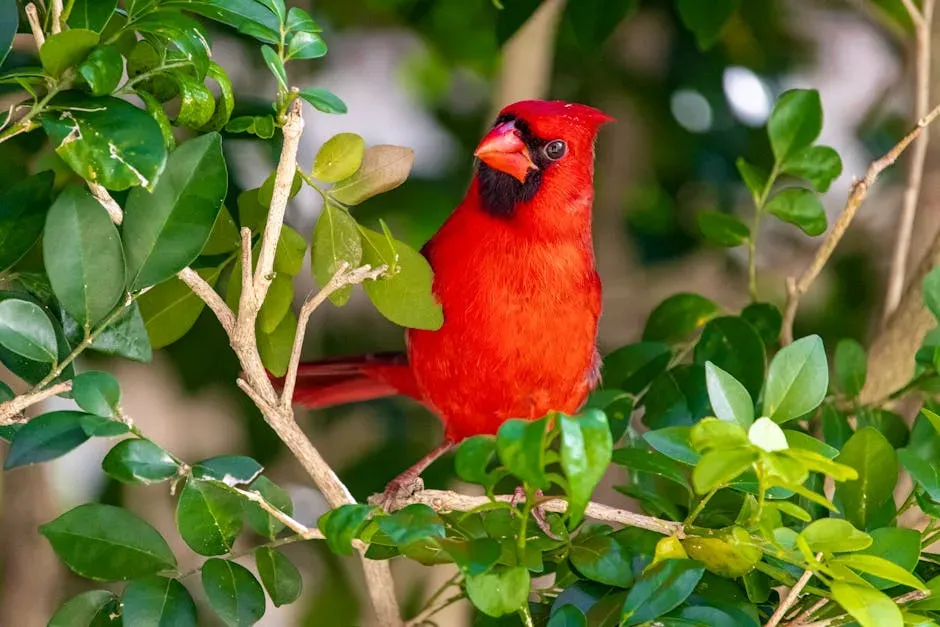 #6: They Move Toward Dense Cover and Thick Shrubs (Image Credits: Pexels)