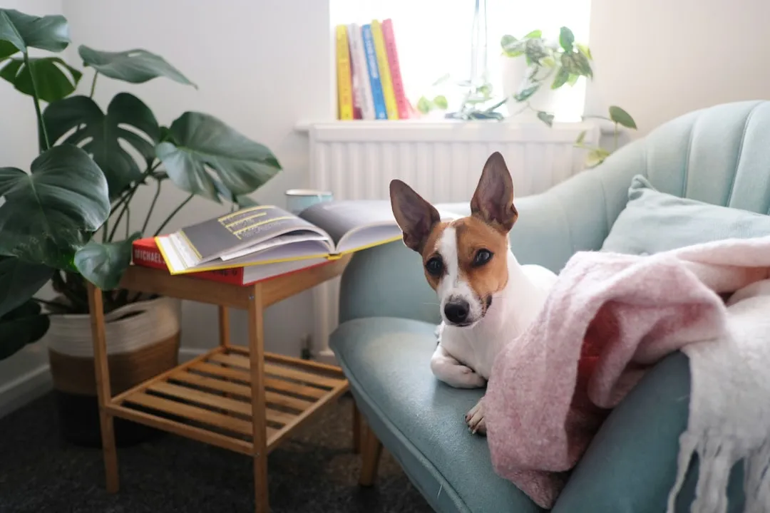 9. Prompting Creative Use of Every Inch of Space (Image Credits: Unsplash)