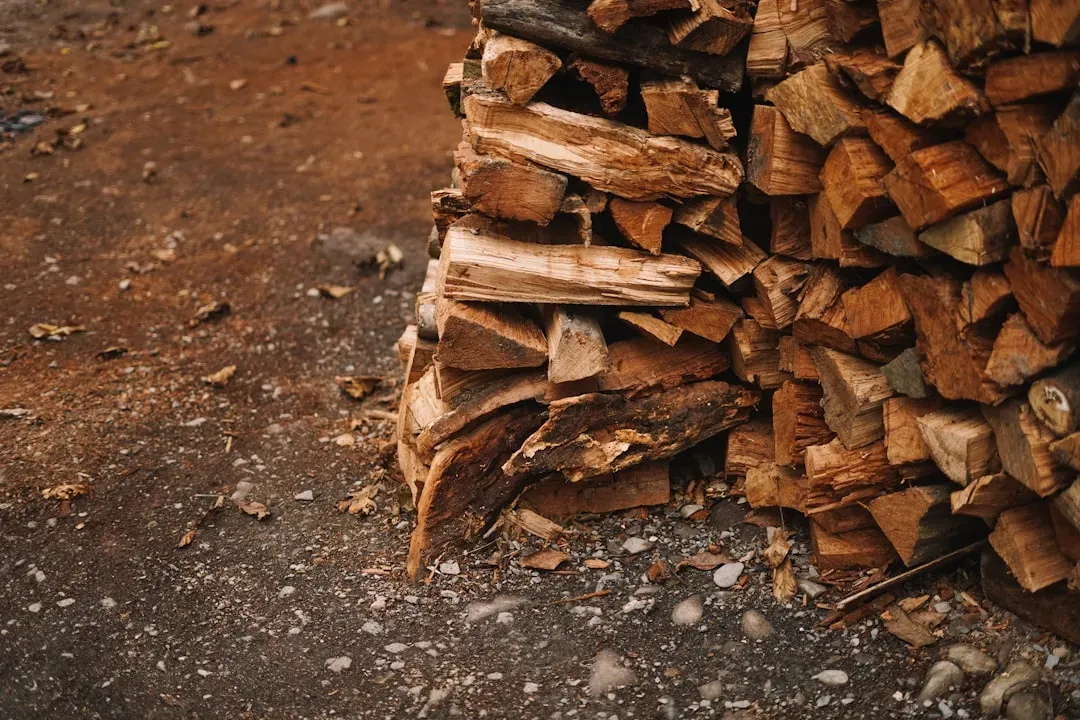 Wood Mulch Positioned Too Close to Your Foundation (Image Credits: Unsplash)
