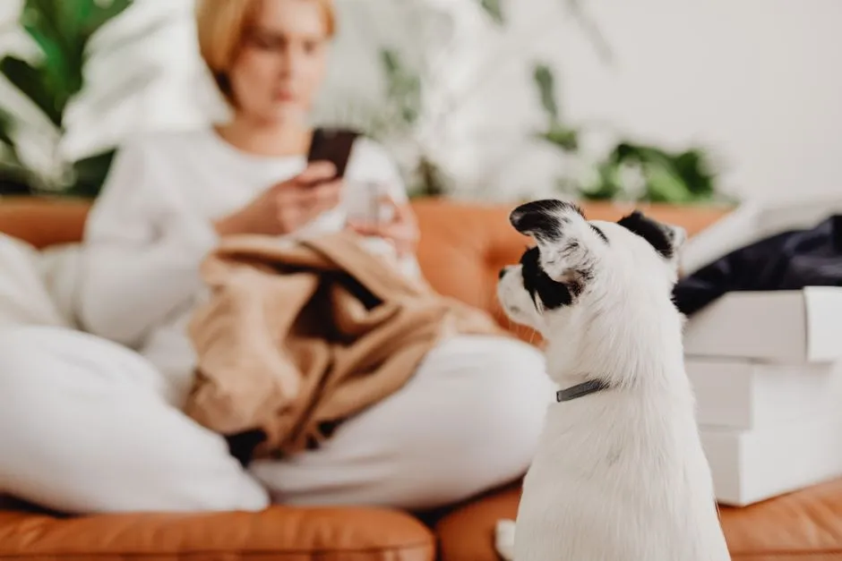 #12 - Tracking Your Entire Household Like a Tiny Data Analyst (Image Credits: Pexels)