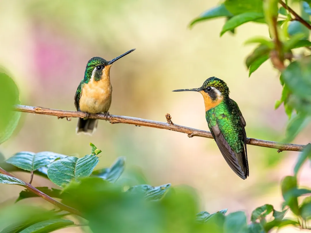 #8 - The Bone-Rattling Courtship Sounds (Image Credits: Unsplash)