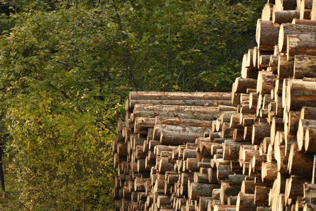 Firewood Stacked Against Your House (Image Credits: Unsplash)