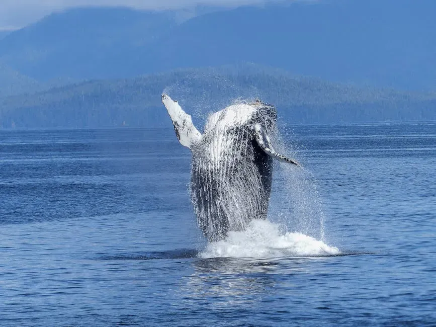 1. Alaska: Where Giants Rule the Wild (Image Credits: Pexels)