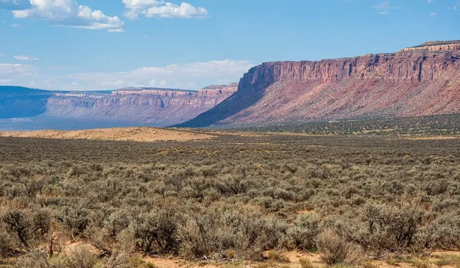 What the Landscape Reveals and What Still Remains Unknown (Image Credits: Pexels)