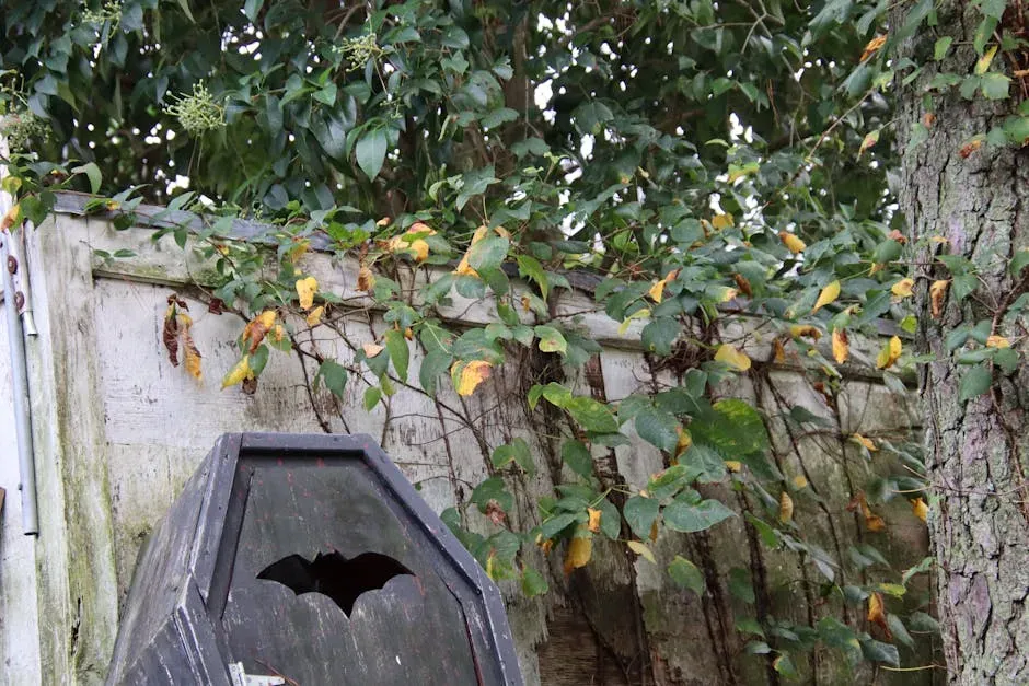 Install a Bat House for Natural Pest Control (Image Credits: Pexels)