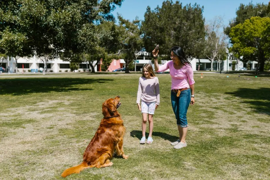7. Ignoring You Around Other Dogs or People (Image Credits: Pexels)