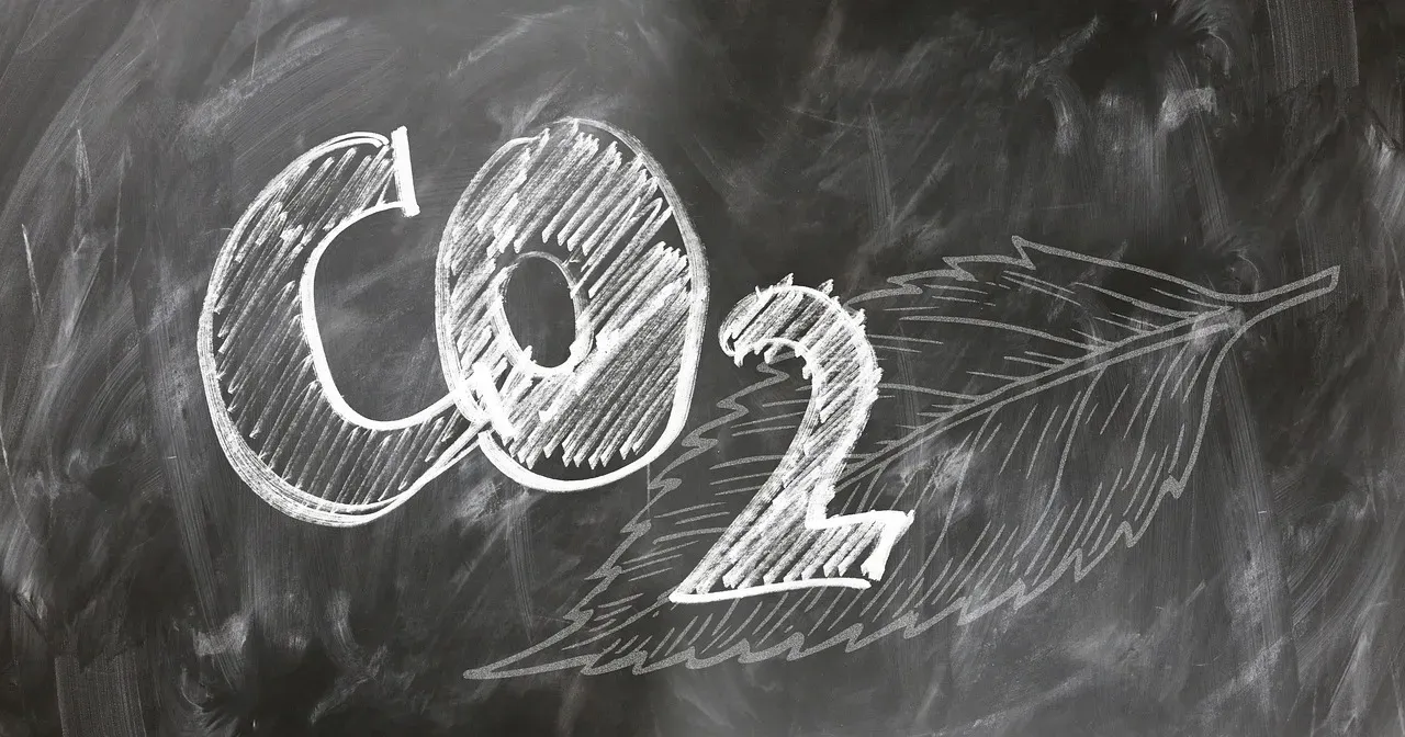#10. They Sequester Carbon on a Meaningful Scale (Image Credits: Pixabay)