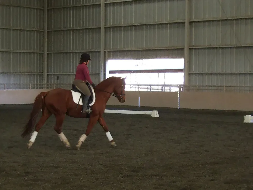 #8 &ndash; Hanoverian (jacobian, Flickr, CC BY 2.0)