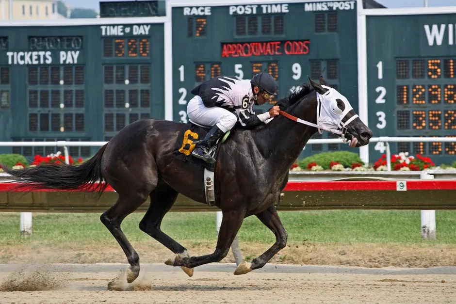 #25 - Thoroughbred: Brilliant Athlete, Minimal Margin for Error (Image Credits: Pexels)