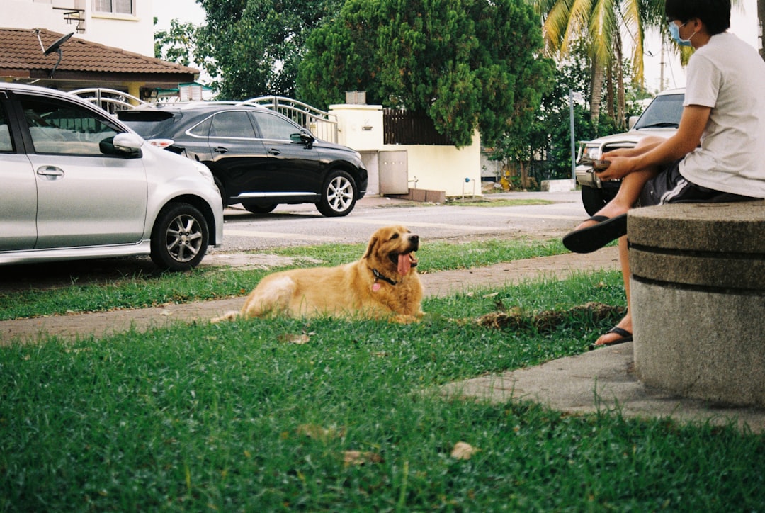 The Domestication Pathway (Image Credits: Unsplash)
