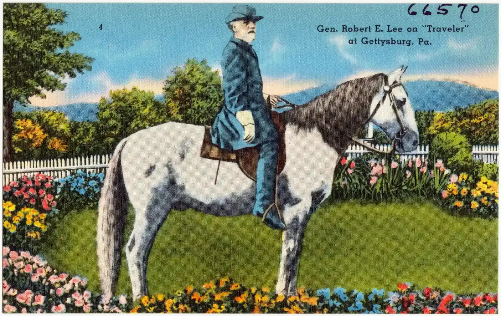 Traveller: Robert E. Lee's Steadfast Gray (Image Credits: Wikimedia)