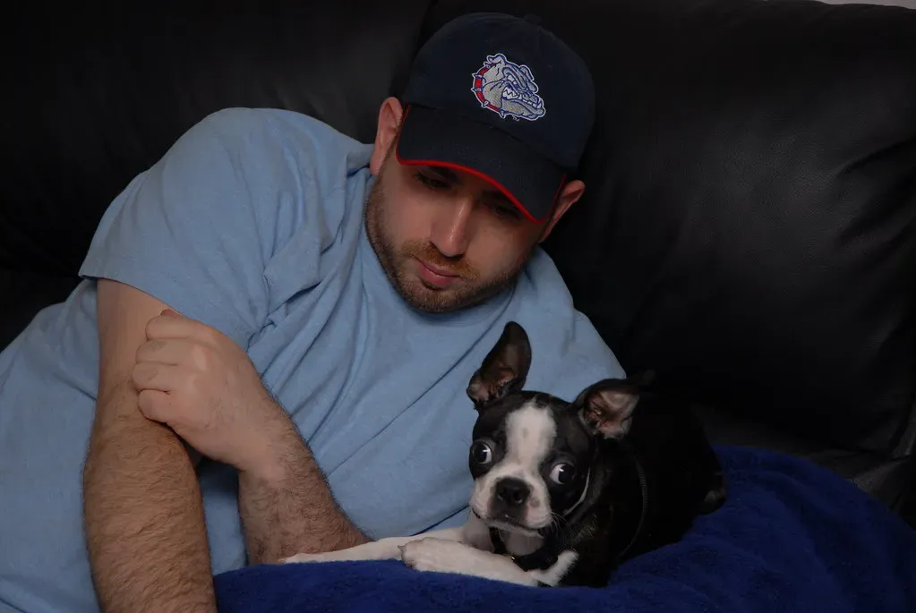 Companion Breeds: Engineered for Love (JamesInOregon, Flickr, CC BY 2.0)