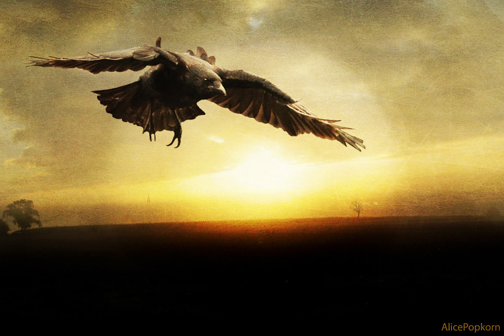 Transformation and Metamorphosis (Image Credits: Flickr)