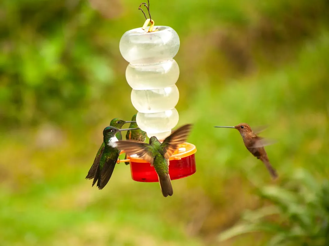 #11 - Insect Load: Tiny Pests, Big Problem (Image Credits: Unsplash)