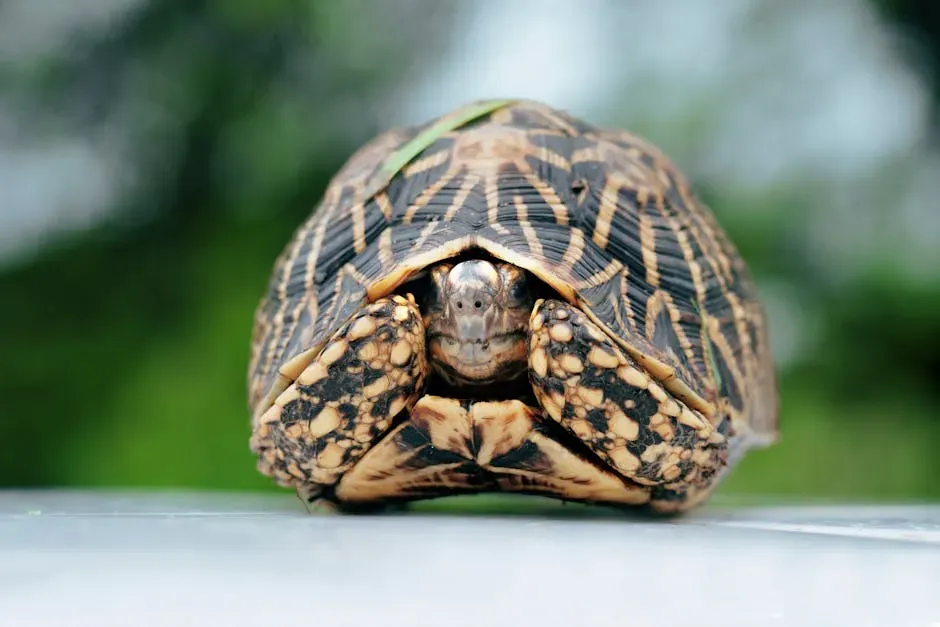 Conclusion: Evolution Never Stops Surprising Us (Image Credits: Pexels)