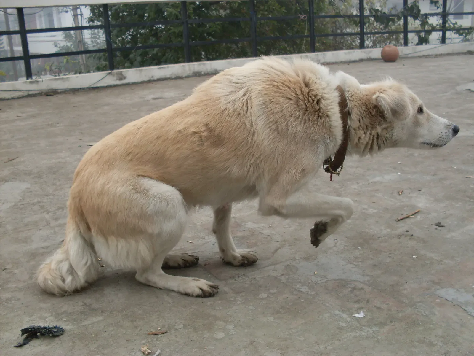 Why Punishment Makes Everything Worse (By Gopal1035, CC BY 2.0)
