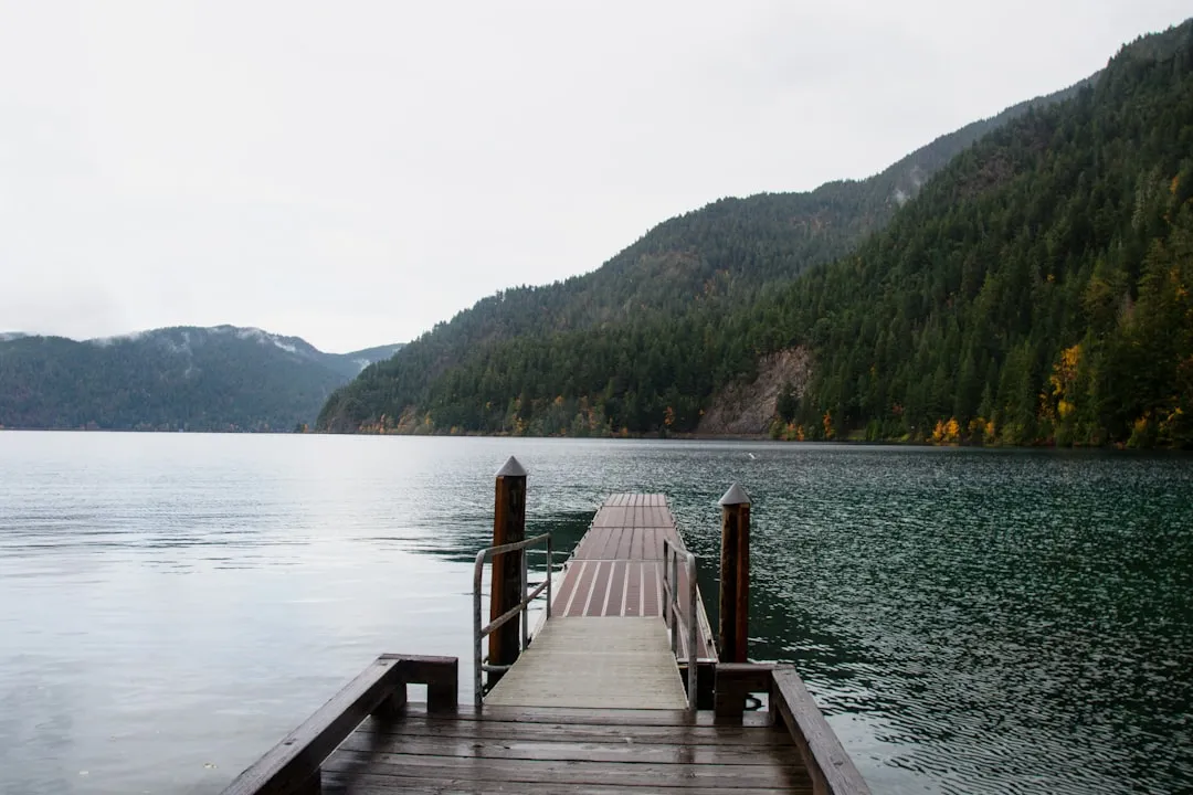 #3 - Lake Crescent, Washington (Image Credits: Unsplash)