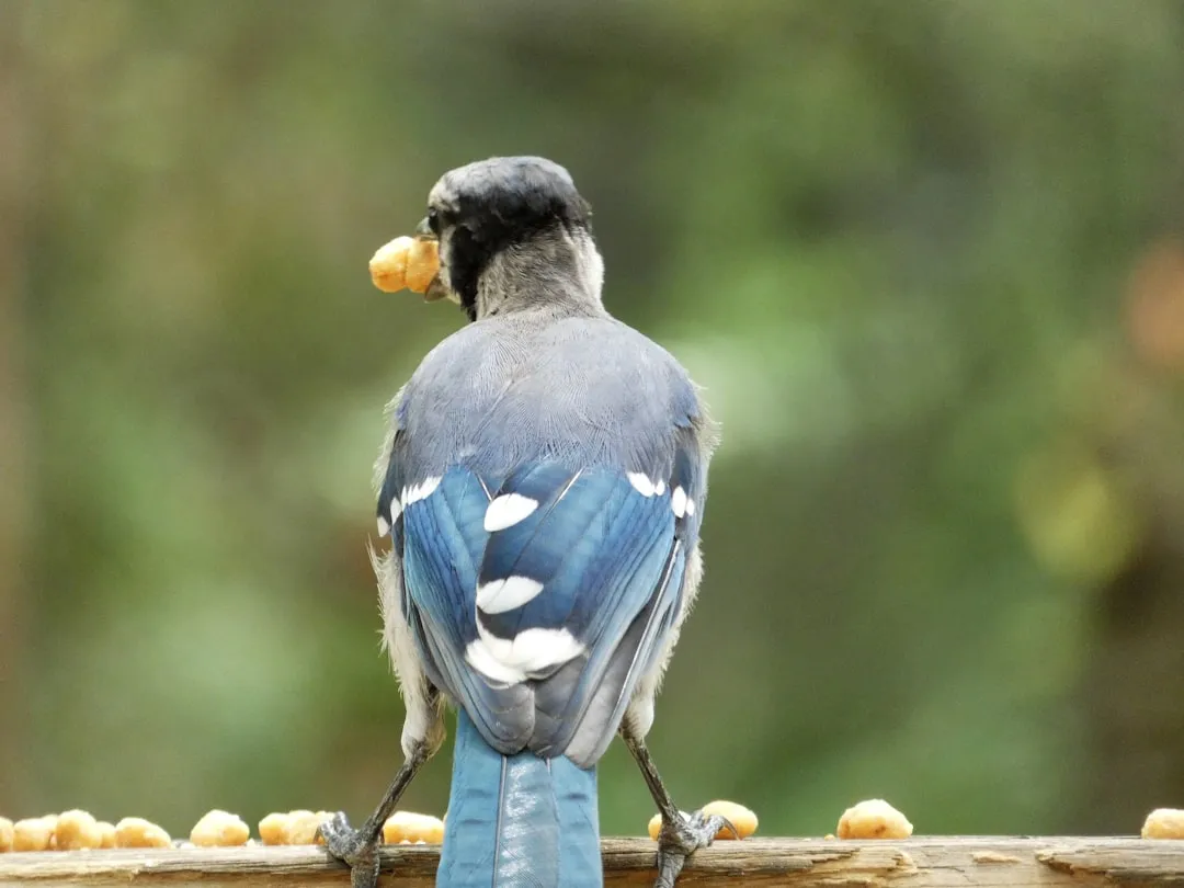 #17 - Turning Its Back on You While Foraging (Image Credits: Unsplash)