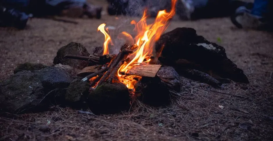 Fire as Our Earliest Ally (Image Credits: Pexels)