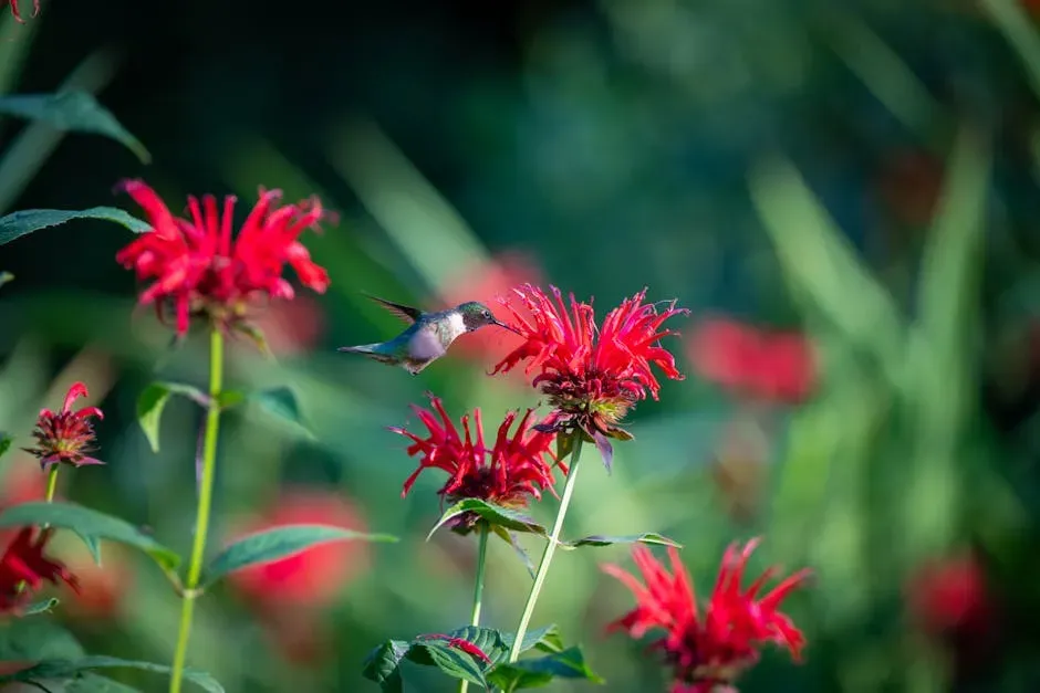 #10 - Bee Balm (Monarda didyma): The Midsummer Magnet (Image Credits: Pexels)