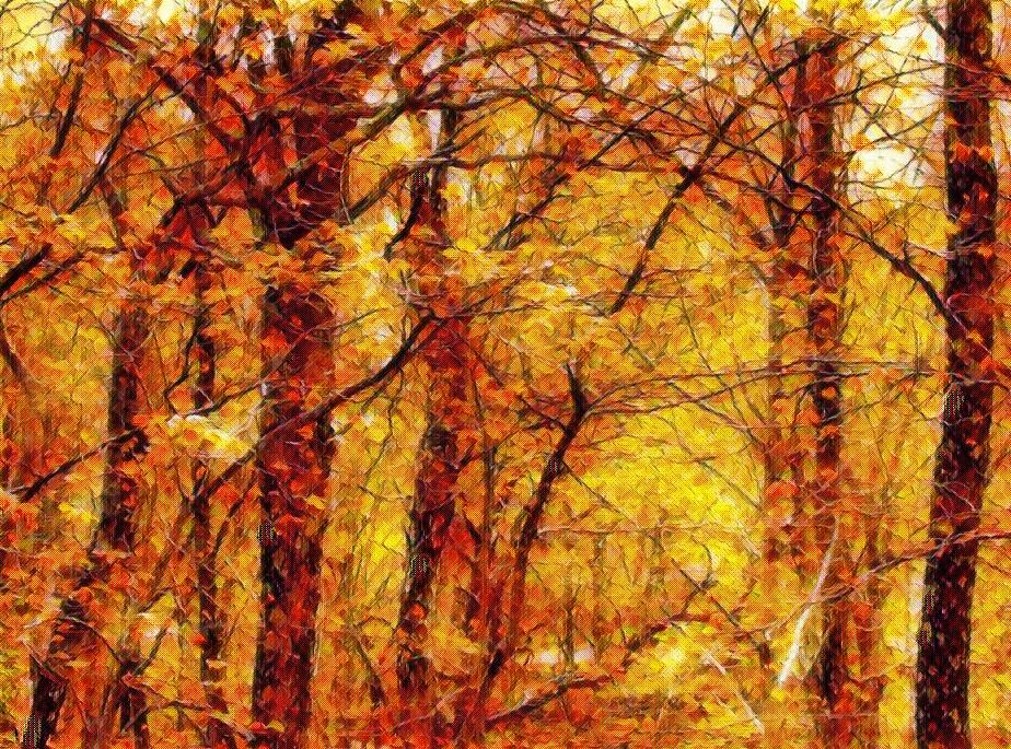 Great Smoky Mountains, Tennessee and North Carolina: A Kaleidoscope of Color (Image Credits: Wikimedia)