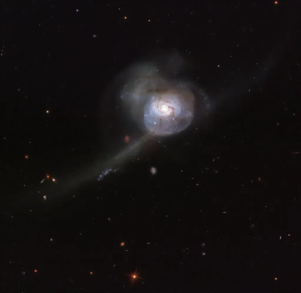 14. The Deep Ocean Is Still Delivering New Species in 2025 and 2026 (NASA Goddard Photo and Video, Flickr, CC BY 2.0)