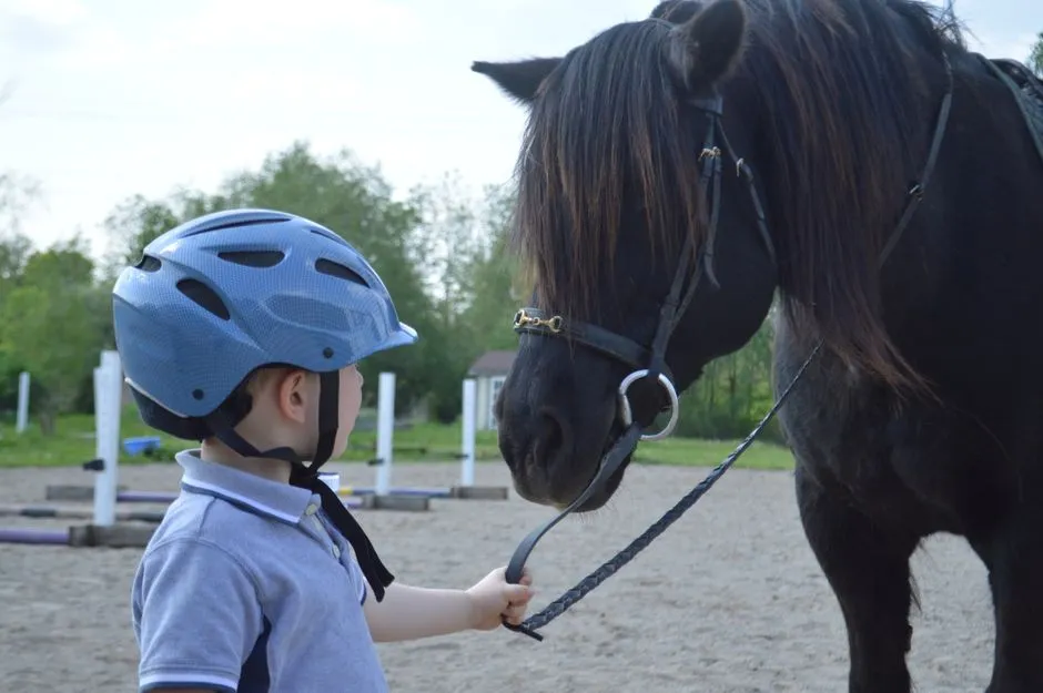 Standard Riding School Ponies: Sweet but Emotionally Spread Thin (Image Credits: Pexels)